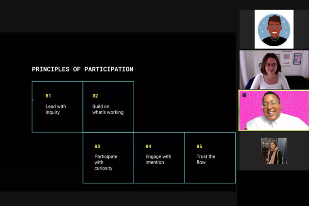 Zoom slide that says Principles of Participation.